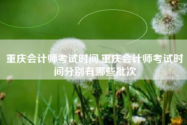 重庆会计师考试时间,重庆会计师考试时间分别有哪些批次