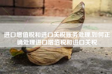进口增值税和进口关税账务处理,如何正确处理进口增值税和进口关税