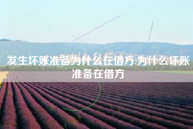 发生坏账准备为什么在借方,为什么坏账准备在借方