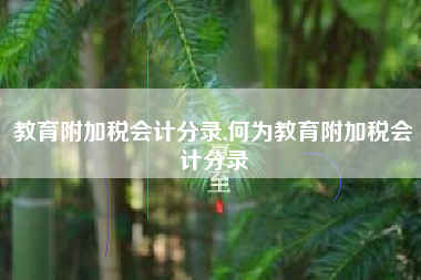 教育附加税会计分录,何为教育附加税会计分录