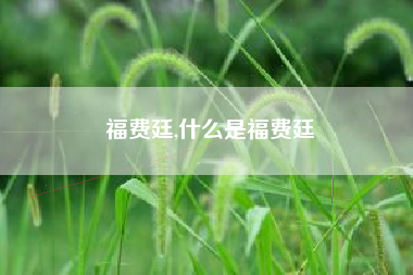 福费廷,什么是福费廷