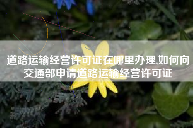 道路运输经营许可证在哪里办理,如何向交通部申请道路运输经营许可证
