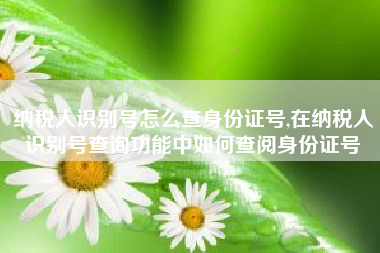 纳税人识别号怎么查身份证号,在纳税人识别号查询功能中如何查阅身份证号