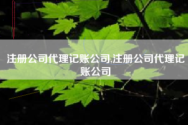 注册公司代理记账公司,注册公司代理记账公司