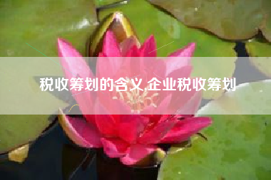 税收筹划的含义,企业税收筹划