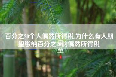 百分之20个人偶然所得税,为什么有人期望缴纳百分之20的偶然所得税