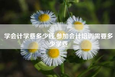 学会计学费多少钱,参加会计培训需要多少学费