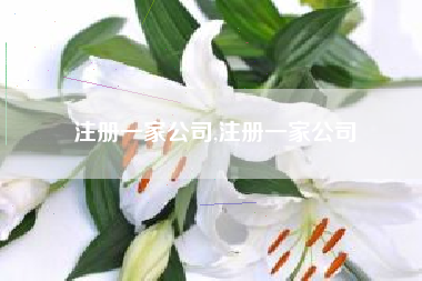 注册一家公司,注册一家公司