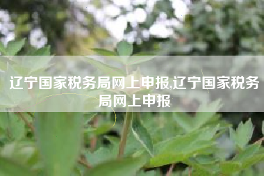 辽宁国家税务局网上申报,辽宁国家税务局网上申报