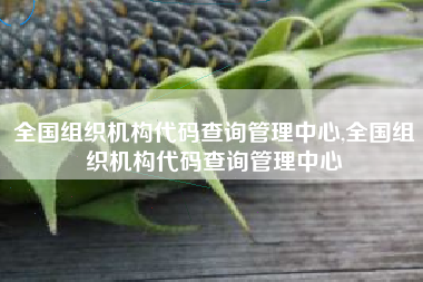全国组织机构代码查询管理中心,全国组织机构代码查询管理中心