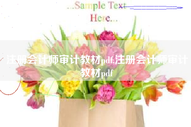 注册会计师审计教材pdf,注册会计师审计教材pdf