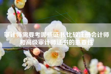 审计师需要考哪些证书,比较注册会计师和高级审计师证书的重要性