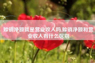 赊销净额就是营业收入吗,赊销净额和营业收入有什么区别