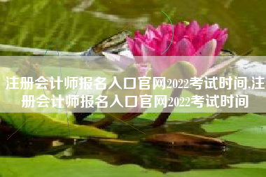 注册会计师报名入口官网2022考试时间,注册会计师报名入口官网2022考试时间
