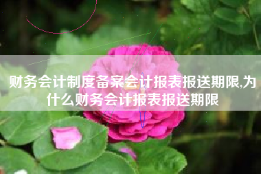财务会计制度备案会计报表报送期限,为什么财务会计报表报送期限