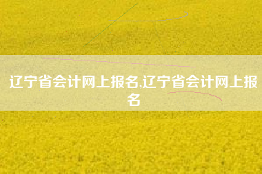 辽宁省会计网上报名,辽宁省会计网上报名
