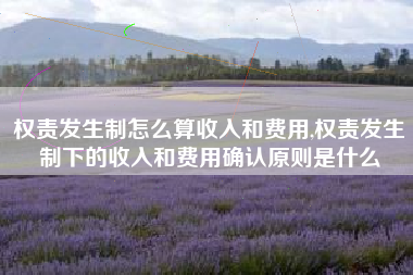 权责发生制怎么算收入和费用,权责发生制下的收入和费用确认原则是什么