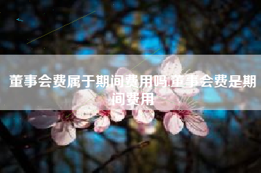 董事会费属于期间费用吗,董事会费是期间费用