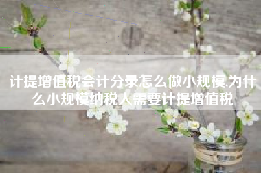 计提增值税会计分录怎么做小规模,为什么小规模纳税人需要计提增值税
