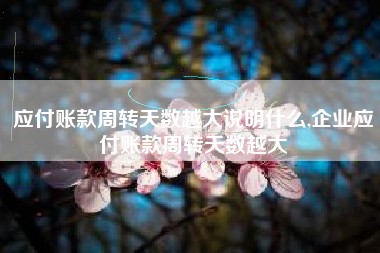 应付账款周转天数越大说明什么,企业应付账款周转天数越大