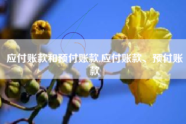 应付账款和预付账款,应付账款、预付账款