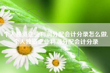个人独资企业利润分配会计分录怎么做,个人独资企业利润分配会计分录