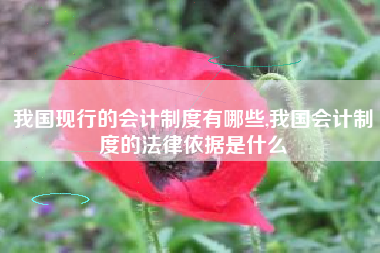 我国现行的会计制度有哪些,我国会计制度的法律依据是什么