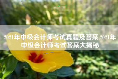 2021年中级会计师考试真题及答案,2021年中级会计师考试答案大揭秘