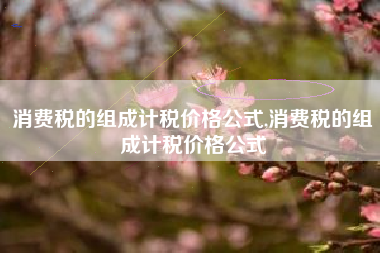 消费税的组成计税价格公式,消费税的组成计税价格公式