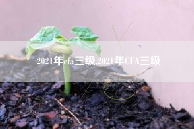 2021年cfa三级,2021年CFA三级