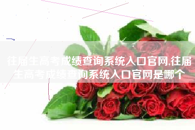 往届生高考成绩查询系统入口官网,往届生高考成绩查询系统入口官网是哪个