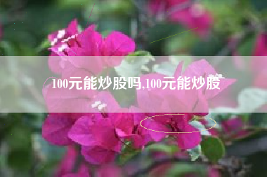 100元能炒股吗,100元能炒股