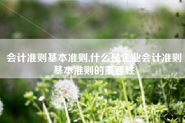 会计准则基本准则,什么是企业会计准则基本准则的重要性