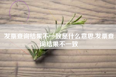发票查询结果不一致是什么意思,发票查询结果不一致
