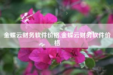 金蝶云财务软件价格,金蝶云财务软件价格