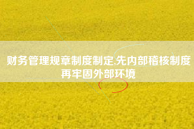 财务管理规章制度制定,先内部稽核制度再牢固外部环境
