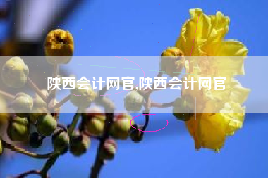 陕西会计网官,陕西会计网官