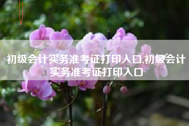 初级会计实务准考证打印入口,初级会计实务准考证打印入口