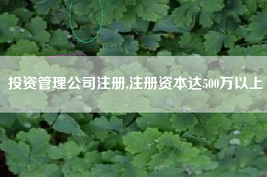 投资管理公司注册,注册资本达500万以上