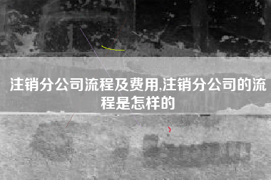 注销分公司流程及费用,注销分公司的流程是怎样的