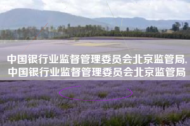 中国银行业监督管理委员会北京监管局,中国银行业监督管理委员会北京监管局