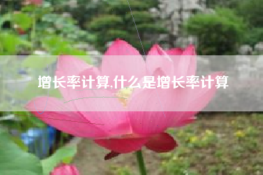 增长率计算,什么是增长率计算