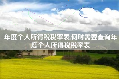 年度个人所得税税率表,何时需要查询年度个人所得税税率表