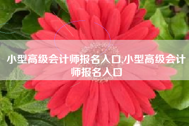 小型高级会计师报名入口,小型高级会计师报名入口