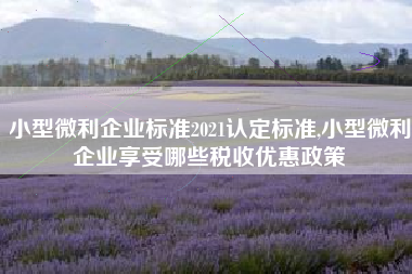 小型微利企业标准2021认定标准,小型微利企业享受哪些税收优惠政策