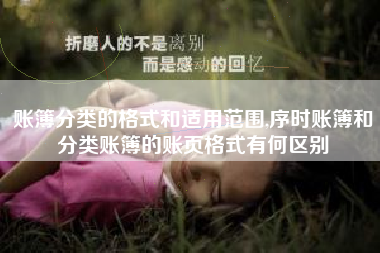 账簿分类的格式和适用范围,序时账簿和分类账簿的账页格式有何区别