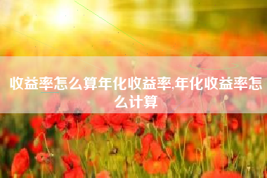 收益率怎么算年化收益率,年化收益率怎么计算