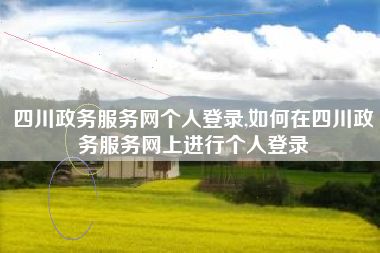 四川政务服务网个人登录,如何在四川政务服务网上进行个人登录