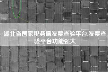 湖北省国家税务局发票查验平台,发票查验平台功能强大