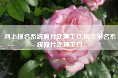 网上报名系统照片处理工具,网上报名系统照片处理工具